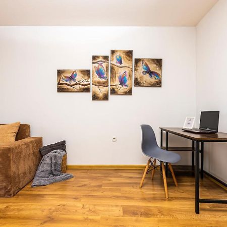 The Walnut 2Bd Apartment Płowdiw Zewnętrze zdjęcie